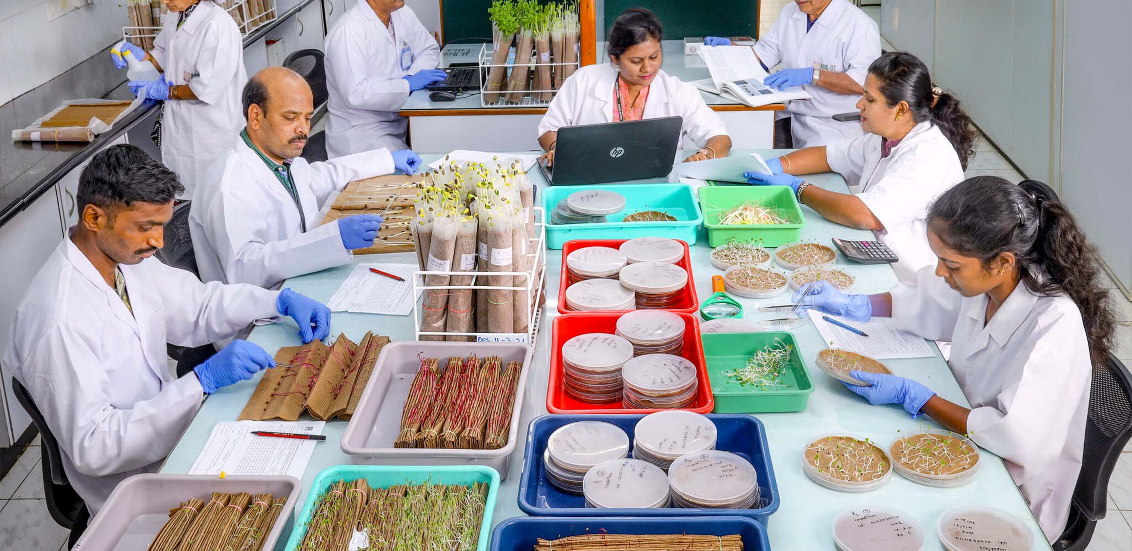 Indams - Blog | Welcome to INDAM’s Seed Quality Assurance Lab